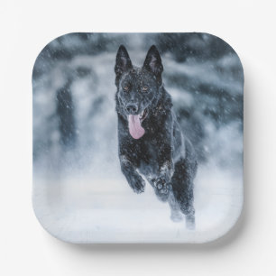 Black German Shepherd in snow Duvet Cover Paper Plate