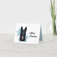 Black German Shepherd in the Snowflakes