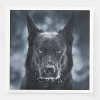 Black German Shepherd