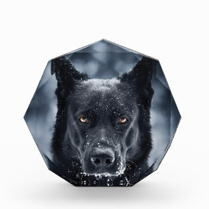 Black German Shepherd Photo Block