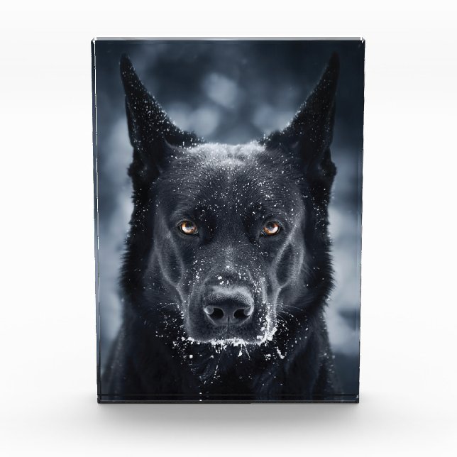 Black German Shepherd Photo Block (Front)