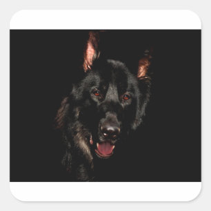 Black German Shepherd Square Sticker