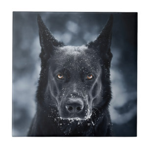 Black German Shepherd Tile