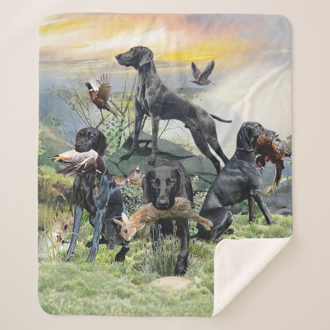 Black German Shorthaired Pointers    Sherpa Blanket (Front)