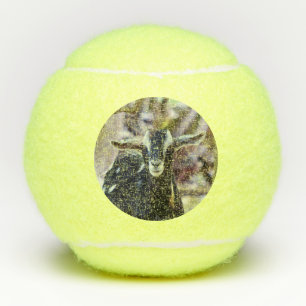 Black Goat Tennis Balls