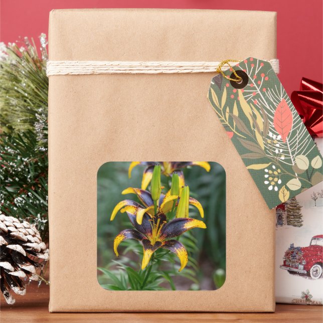 Black & Gold Asiatic Lily Square Sticker (Holiday)