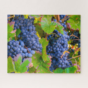 Black Grapes Vines, Vineyard Jigsaw Puzzle