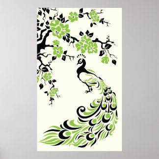 Black green peacock and cherry blossoms poster