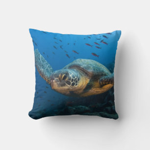 Black (Green) Turtle (Chelonia agassizi) Cushion