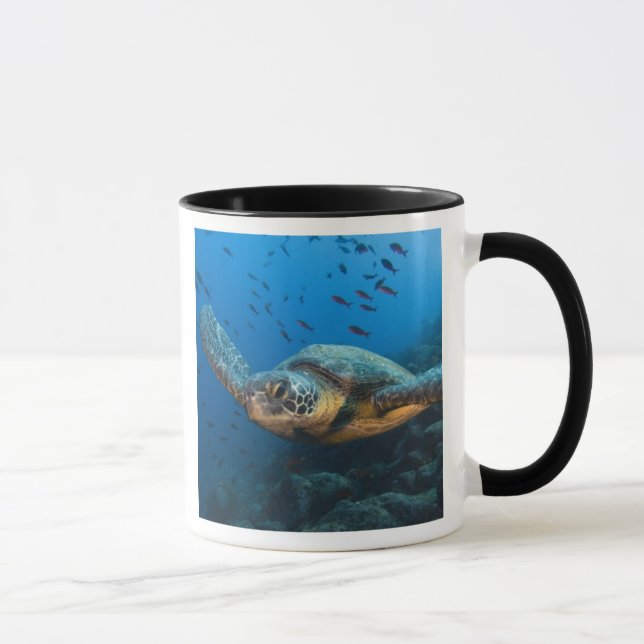 Black (Green) Turtle (Chelonia agassizi) Mug (Right)