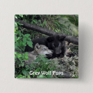 Black & Grey Wolf Pups Wildlife Collector Pin