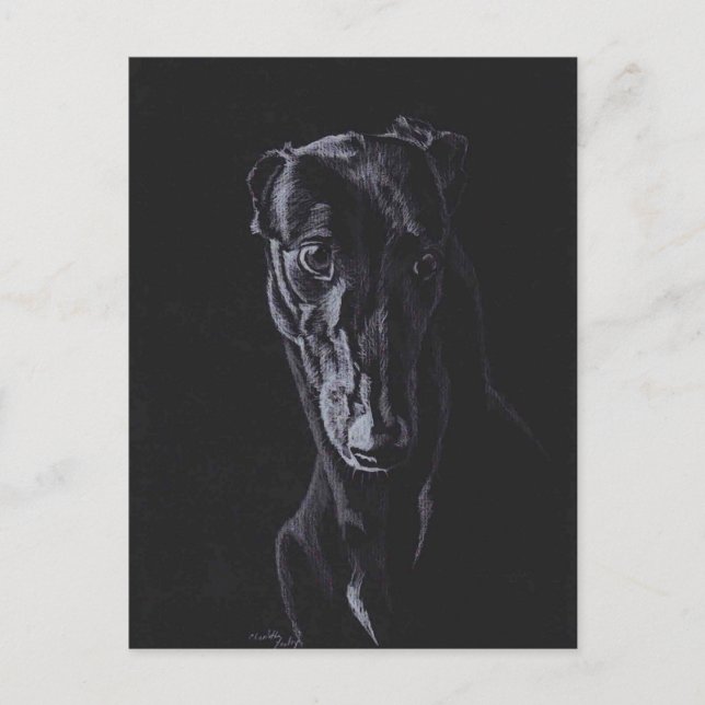 Black Greyhound Dog Art Postcard (Front)