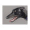 Black Greyhound Original Dog Art Postcard