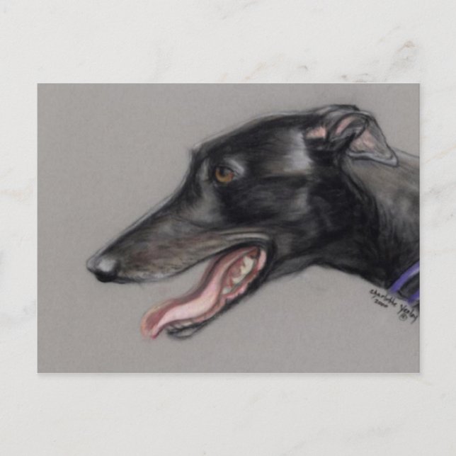 Black Greyhound Original Dog Art Postcard (Front)