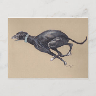 Black Greyhound Running Dog Art Postcard