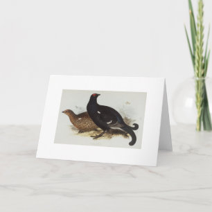 Black Grouse Card