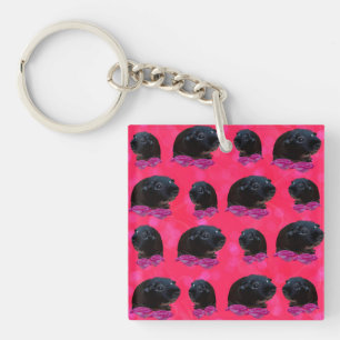 Black Guinea Pigs On Pretty Pink Roses Key Ring