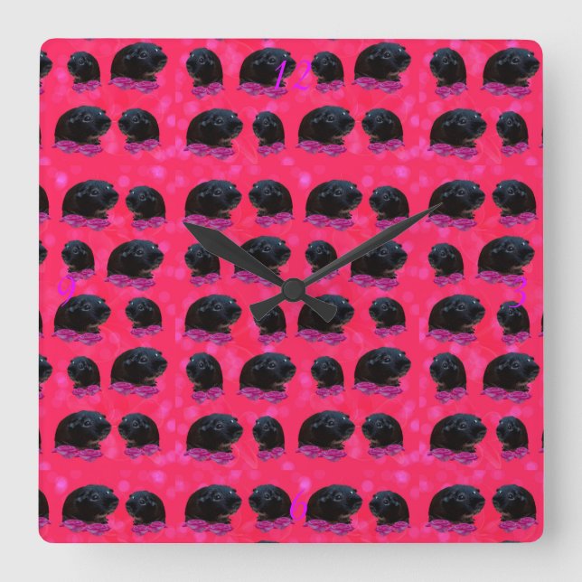 Black Guinea Pigs On Pretty Pink Roses Square Wall Clock (Front)