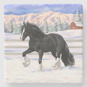 Black Gypsy Vanner Irish Cob Draught Horse In Snow Stone Coaster