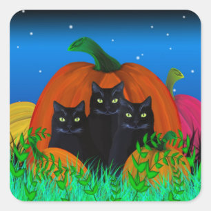Black Halloween Cats with Pumpkins Stickers