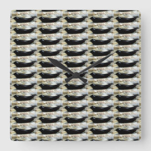 black harbour seals clock