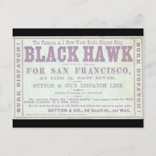 Black Hawk clipper sailing 1900 Postcard