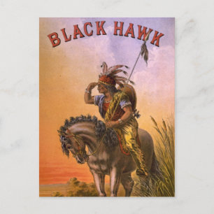 Black Hawk Native American Indian Postcard