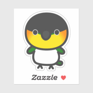 Black-headed Caique