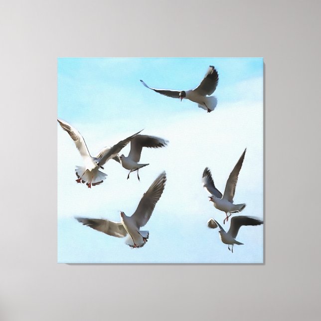 Black Headed Gulls Of The Bosphorus Art Canvas Print (Front)