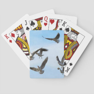 Black Headed Gulls Of The Bosphorus Art Playing Cards