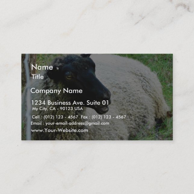 Black Headed Sheep On Grass Business Card (Front)