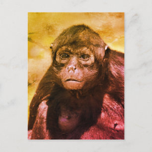 Black-headed spider monkey postcard