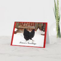 Black Hen Walking In Snow Holiday Greeting Cards