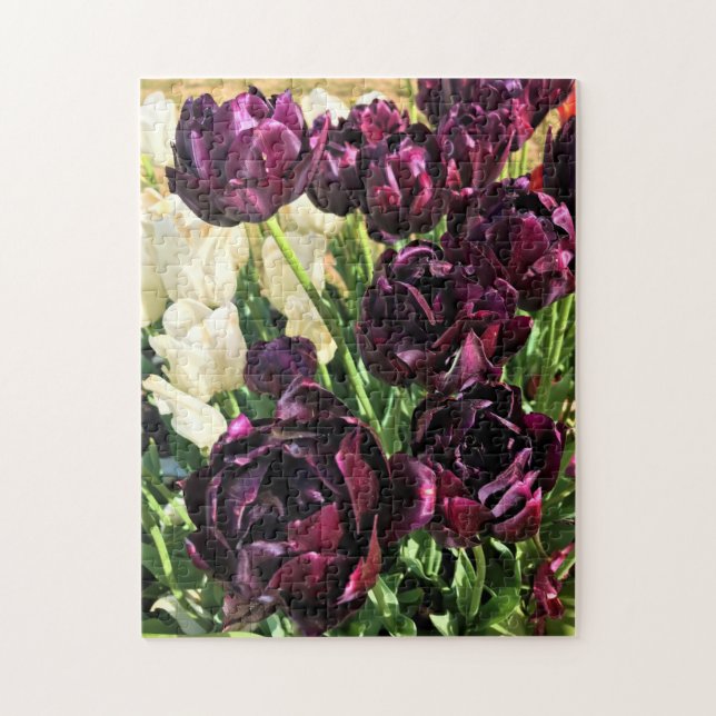 Black Hero Tulips, Oregon Jigsaw Puzzle (Vertical)