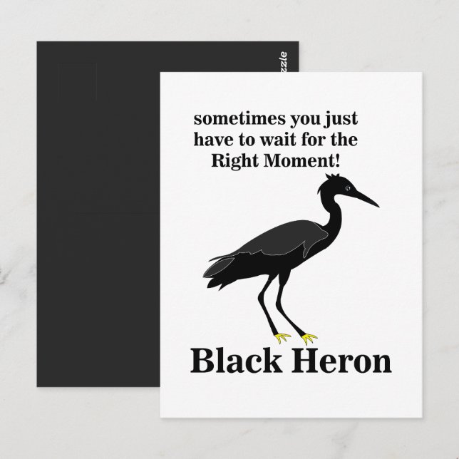 Black Heron Egret Bird Wildlife Postcard (Front/Back)