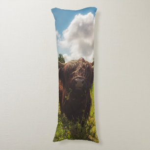 Black highland cow grazing green field sun light body cushion