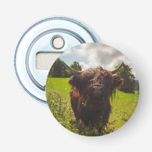 Black highland cow grazing green field sun light bottle opener