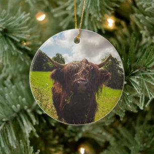 Black highland cow grazing green field sun light ceramic tree decoration