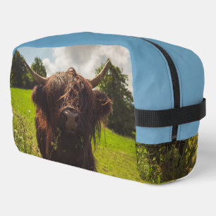 Black highland cow grazing green field sun light dopp kit