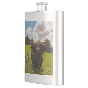 Black highland cow grazing green field sun light hip flask