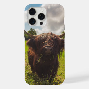 Black highland cow grazing green field sun light iPhone 15 pro max case