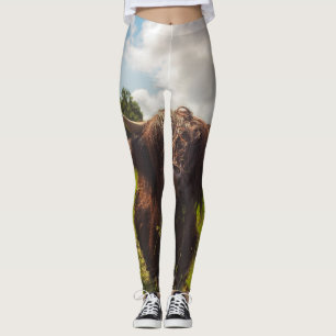 Black highland cow grazing green field sun light leggings
