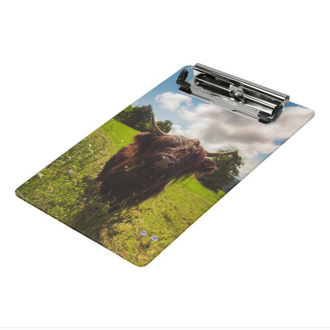 Black highland cow grazing green field sun light mini clipboard (Angled3)