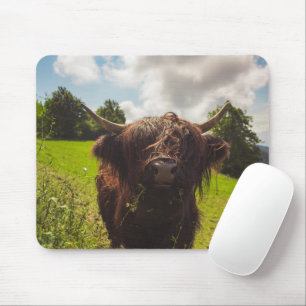 Black highland cow grazing green field sun light mouse pad