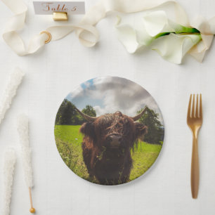 Black highland cow grazing green field sun light paper plate