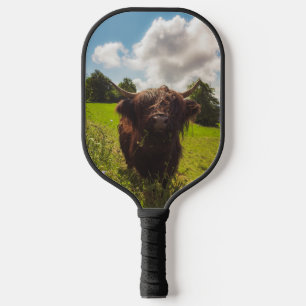 Black highland cow grazing green field sun light pickleball paddle