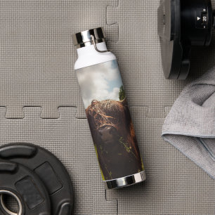 Black highland cow grazing green field sun light water bottle