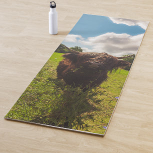 Black highland cow grazing green field sun light yoga mat