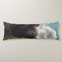 Black highland Scottish cow grazing vintage retro