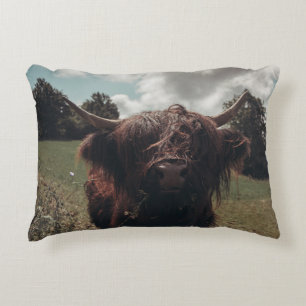 Black highland Scottish cow grazing vintage retro Decorative Cushion
